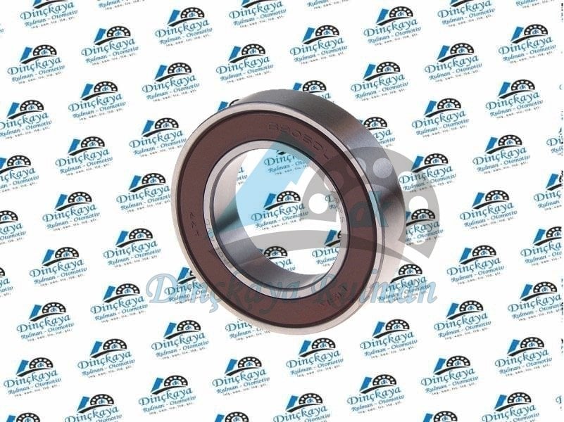 NSK 6905 DDU  NSK RULMAN